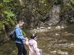 -牛背梁国家森林公园