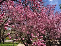 -国家植物园南园