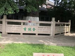 -常熟方塔园