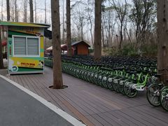 -东平国家森林公园