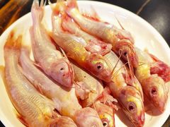 -石锅苗苗鱼(武汉首店)