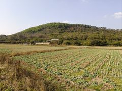 -风云岭森林公园