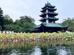 -桂湖森林公园