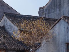 -鸣鹤古镇