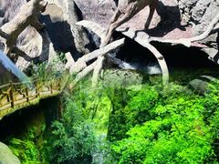 -鹿院坪生态旅游景区