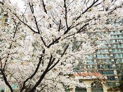 -梨园(地铁站)