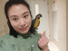 -大班家政月嫂育儿嫂(总部店)