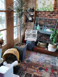 -青木造型HAIR·あおき髪を刈る潮人店