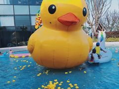 -汕头中海黄金海岸水上乐园