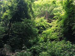 -云岫谷自然风景区