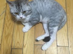 -韩盛·盛江山自助料理(中街大悦城店)