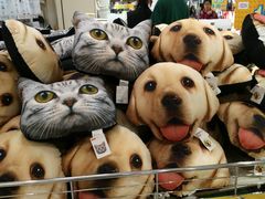 -AEON永旺(东方宝泰店)