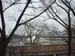 -东方巨龟苑景区