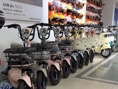 -雅迪电动车(北艾路店)