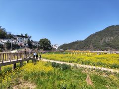 -新安江山水画廊风景区