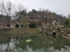 -黄陂区野村谷景区
