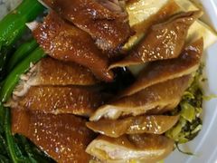 -狮头牌卤味研究所·卤味饭(花城汇南区店)