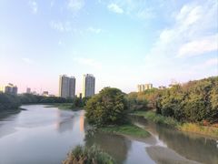 -广东花都湖国家湿地公园