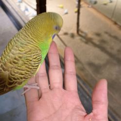 -酷嗒动物文化乐园(cutezoo西溪乐天城店)