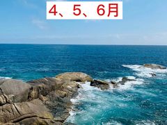 -亚龙湾热带天堂森林公园