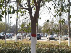 -汉长安城未央宫国家考古遗址公园