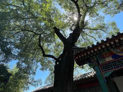 -北京颐和宾馆