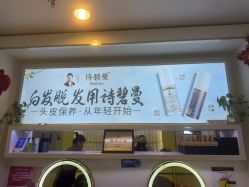 点击看大图 -诗碧曼白发防脱养发