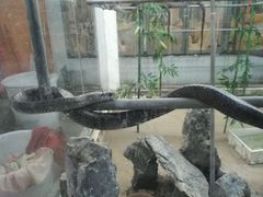 -荔城生鲜盛宴(番禺旗舰店)