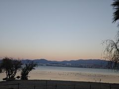-洱海月湿地公园