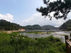 -仙水洋