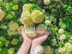 -国家植物园