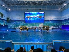 -多彩贵州城极地海洋世界