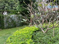 -石厦(地铁站)