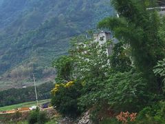 -长寿村