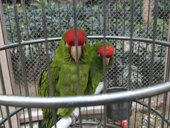 -南宫五洲植物乐园