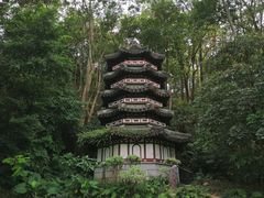 -深圳国际园林花卉博览园