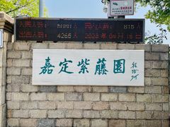 -嘉定紫藤园