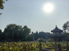 -莲池书院博物馆