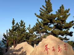 -养马岛旅游度假区
