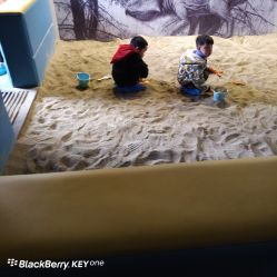 -恐龙探索乐园(磁器口店)