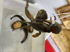 -面道赞宁海海鲜面(迎凤街店)