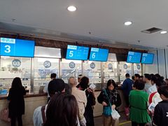 -上海市东方医院(总院)