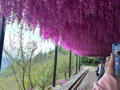 -广东天露山旅游度假区