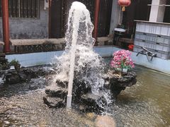 -八姑农庄·广府西江菜·云南野生菌