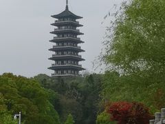 -宜兴龙背山森林公园