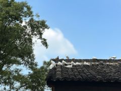 -良渚古城遗址公园