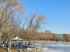 -大兴滨河森林公园