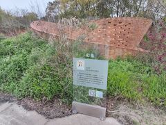 -东平国家森林公园