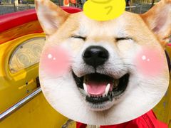 -庄怡公园
