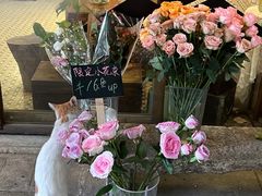 -西关84·History·Art·Cafe